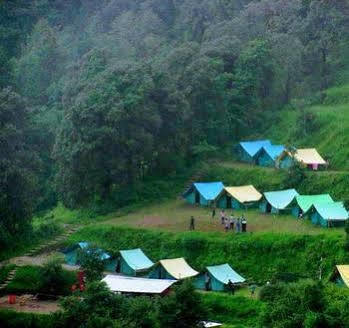 Kafal 3* Nainital