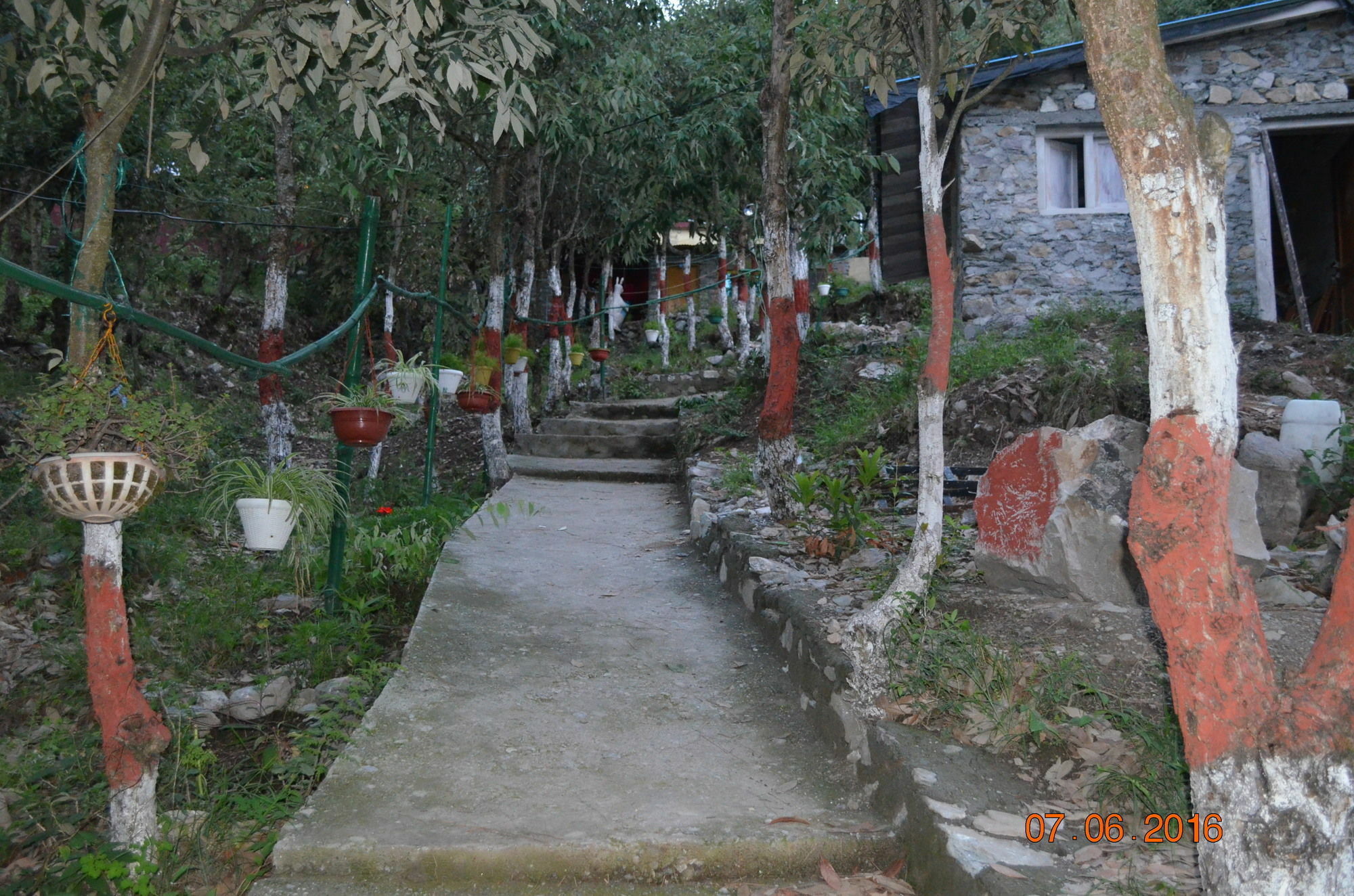 Kafal 3* Nainital